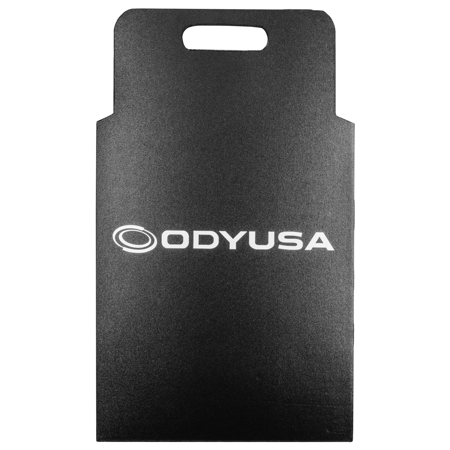75" Flat Screen Monitor Case with Casters - Image 10